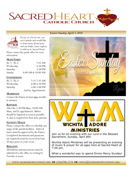 Bulletin Sample 1